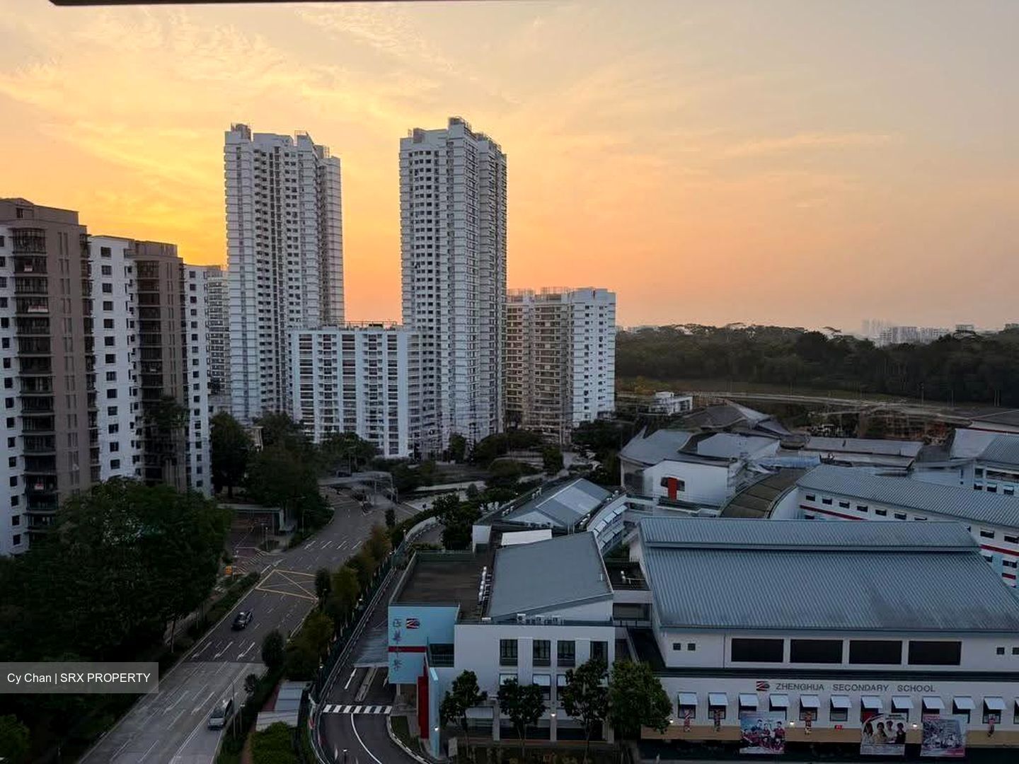 Blk 521 Pangshan Valley (Bukit Panjang), HDB Executive #621686201